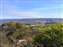 Hargraves Lookout Sydney, Australia.JPG